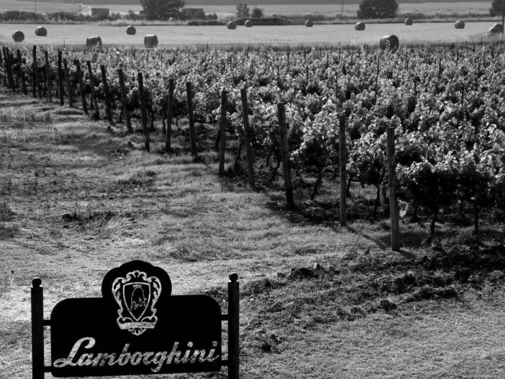 Lamborghiniwine Sweden Shop