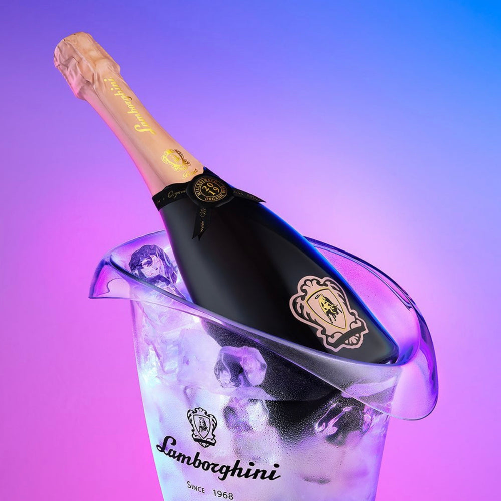 
                  
                    Lamborghini Cooler
                  
                